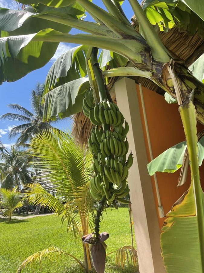 Sambo Mambo Beach Hotel Ел Куко Екстериор снимка